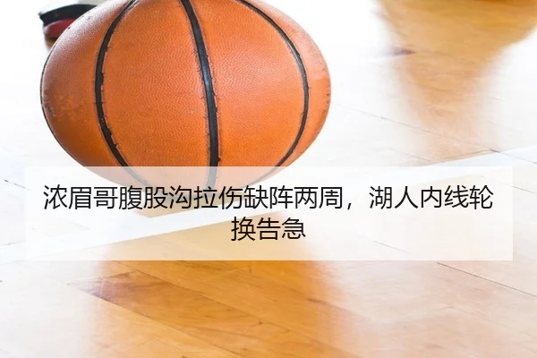 浓眉哥腹股沟拉伤缺阵两周，湖人内线轮换告急