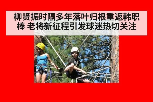 柳贤振时隔多年落叶归根重返韩职棒 老将新征程引发球迷热切关注