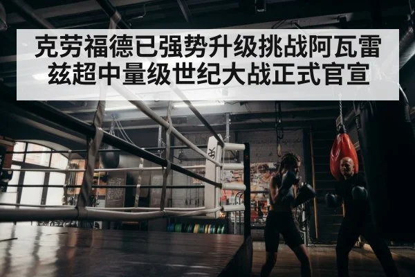 boxer training