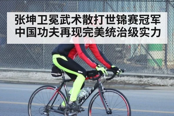 张坤卫冕武术散打世锦赛冠军 中国功夫再现完美统治级实力