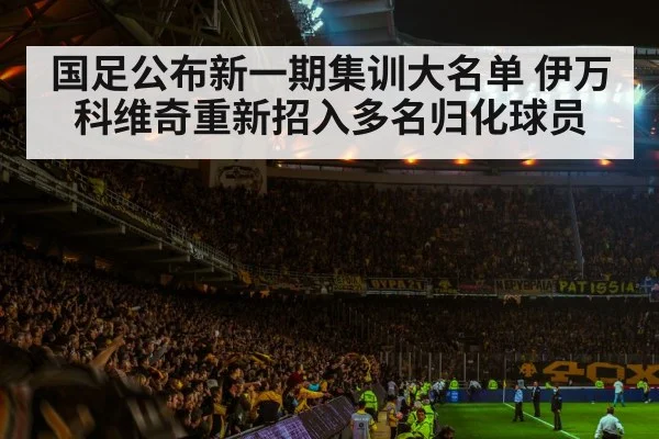 国足公布新一期集训大名单 伊万科维奇重新招入多名归化球员